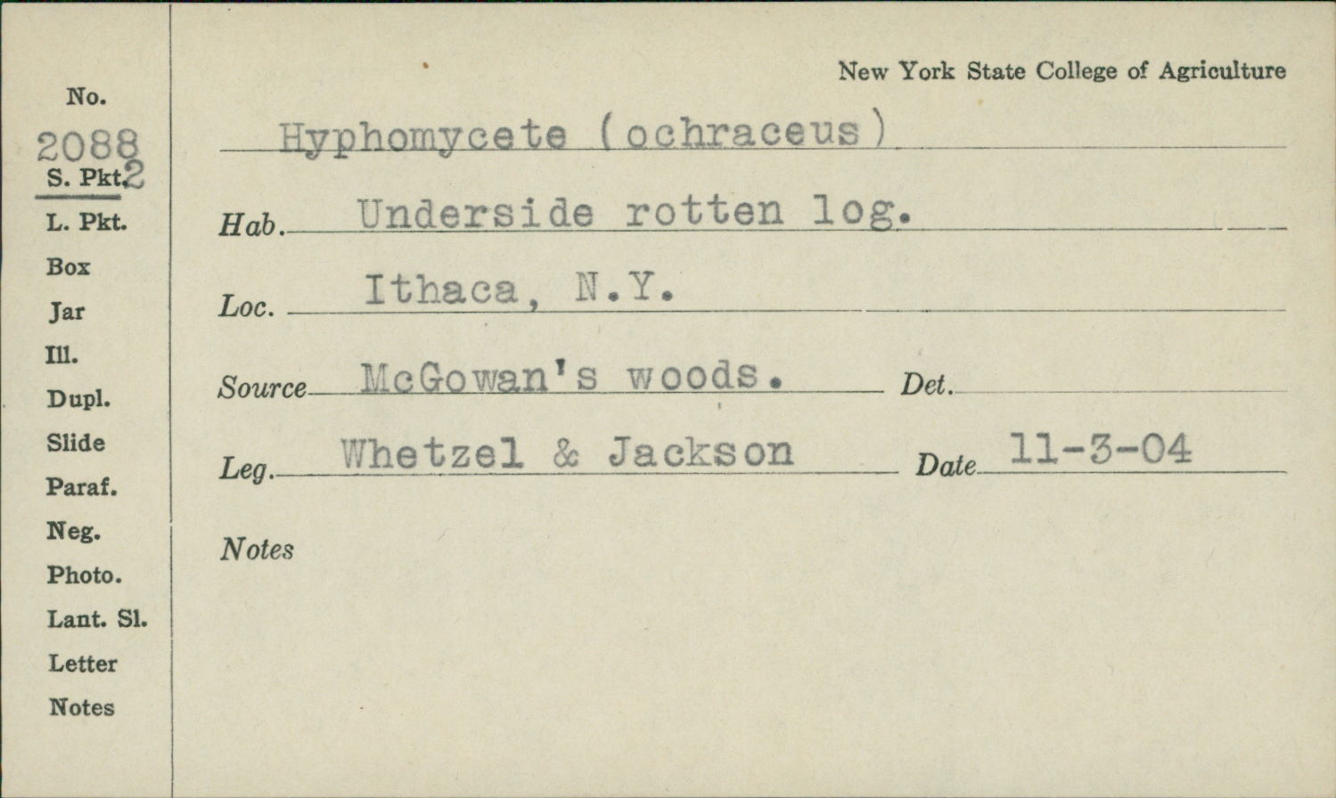 Hyphomyces image
