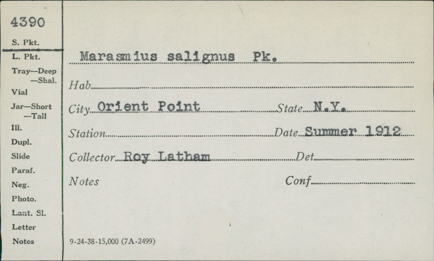 Marasmius salignus image