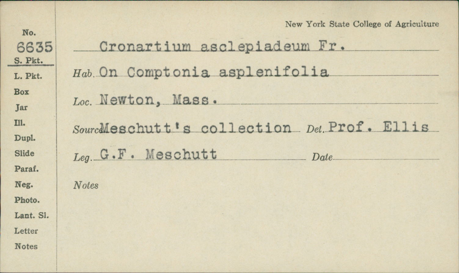 Cronartium flaccidum image