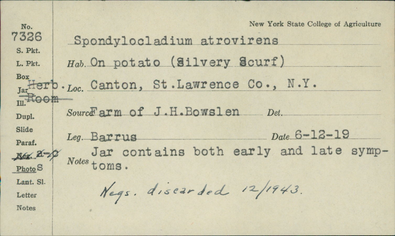 Stachylidium image
