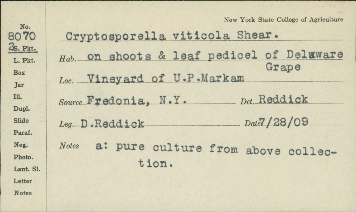 Phomopsis viticola image