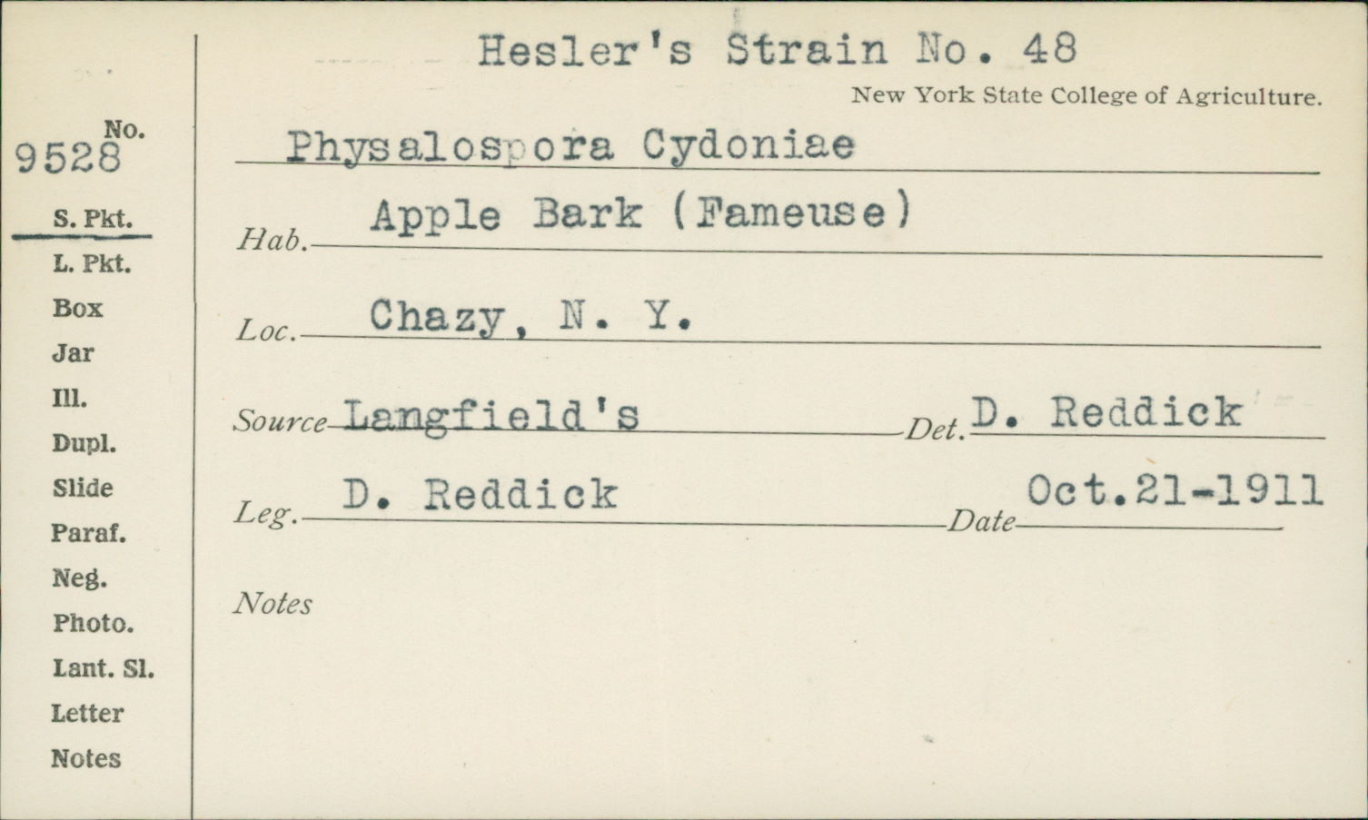 Botryosphaeria obtusa image