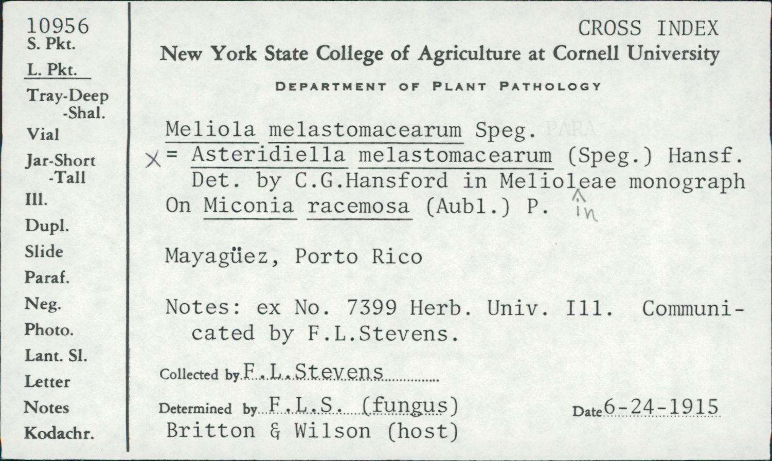 Asteridiella melastomatacearum image