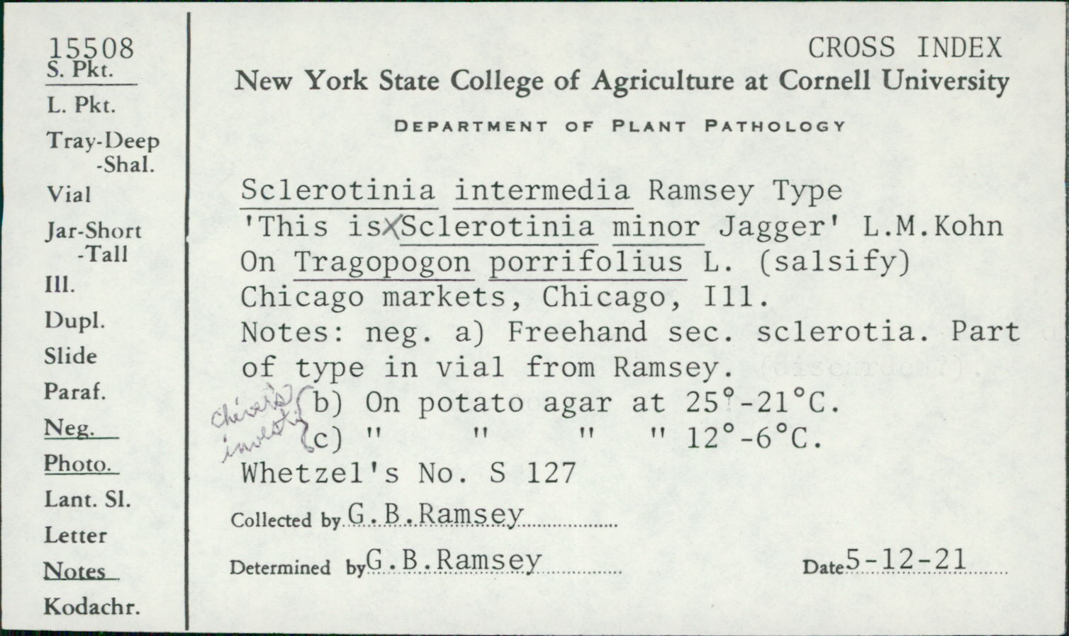 Sclerotinia intermedia image