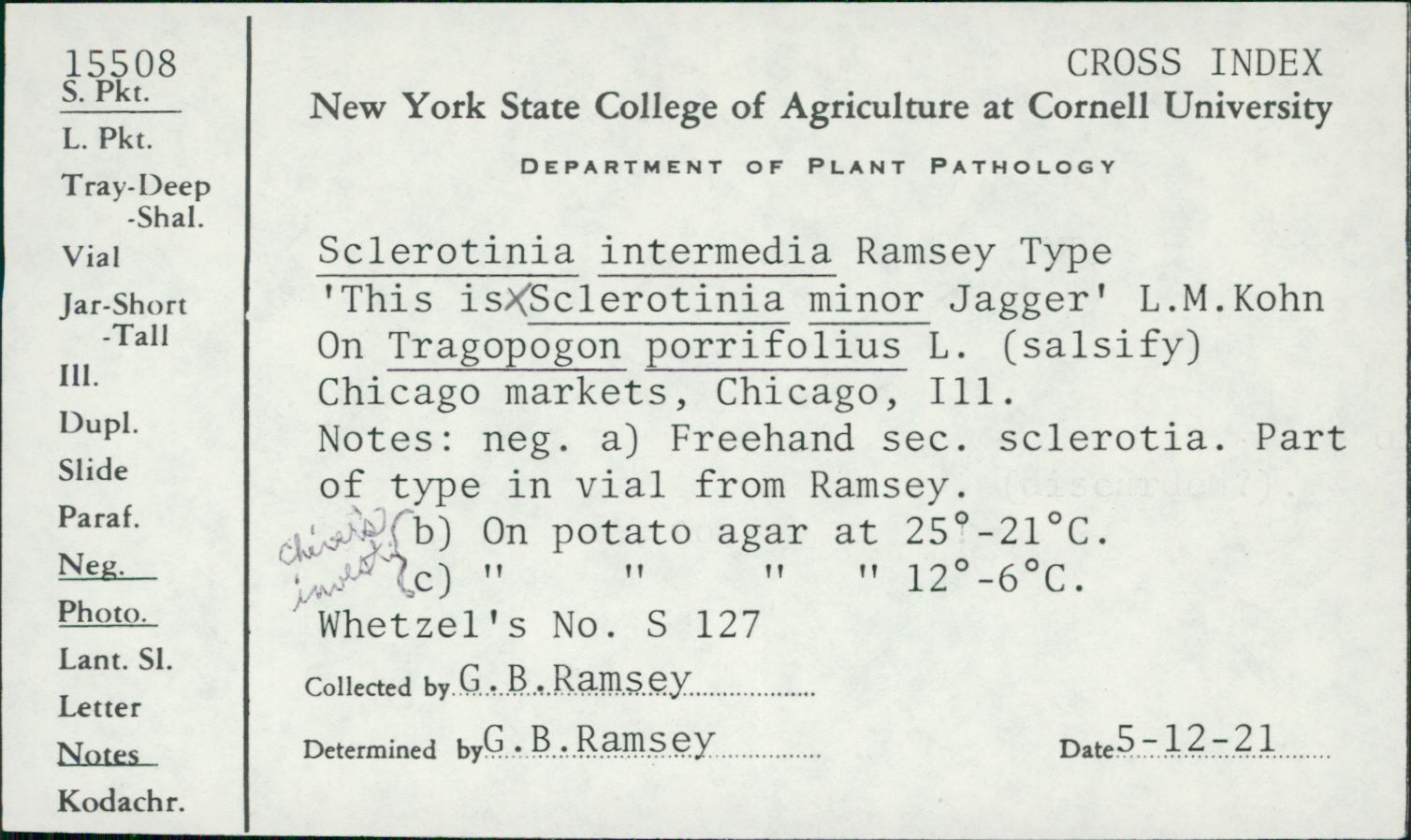 Sclerotinia intermedia image