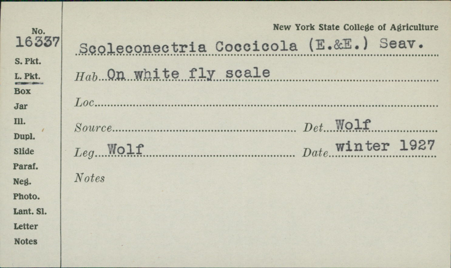 Cocoicola image