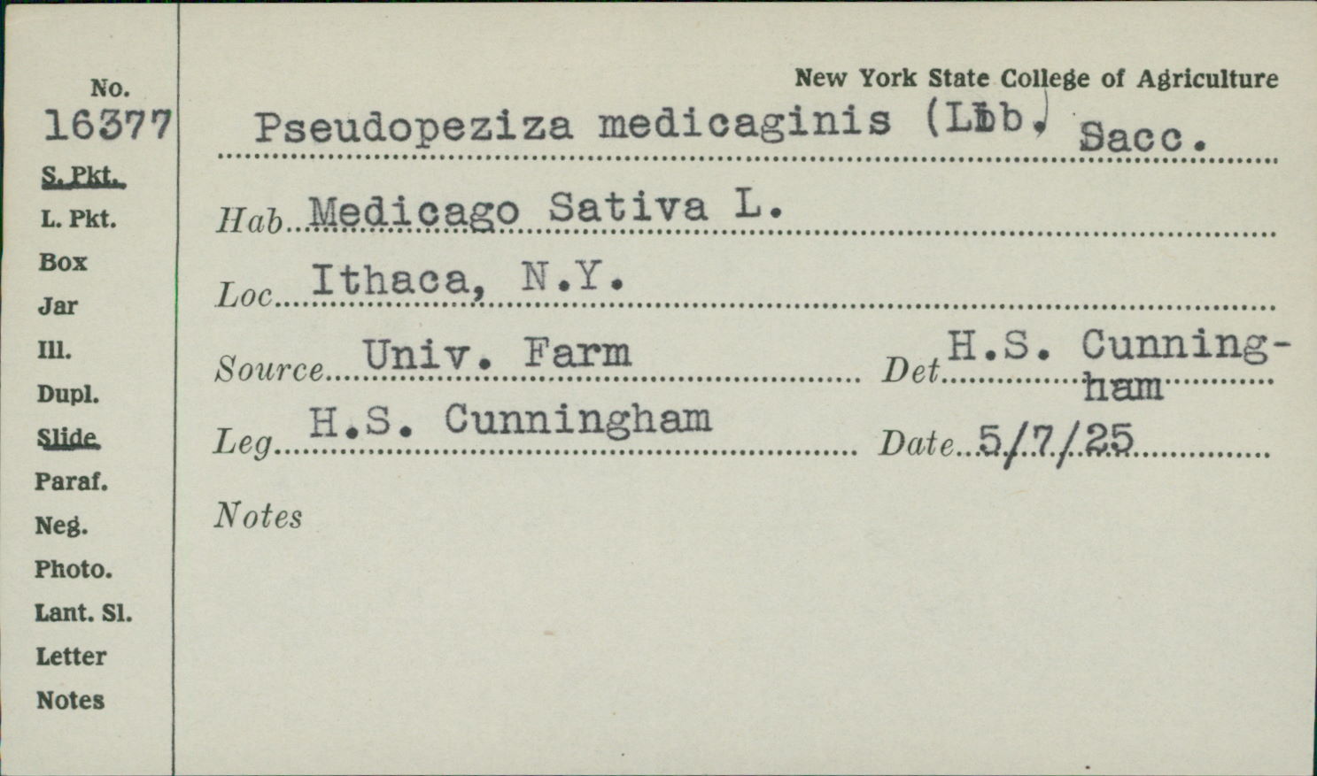 Pseudopeziza medicaginis image