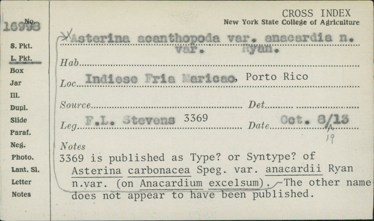 Asterina carbonacea image