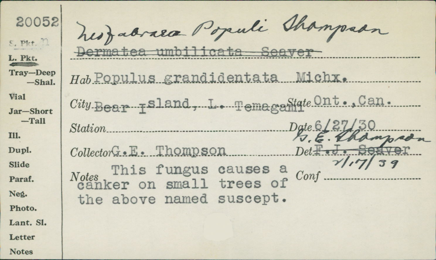 Neofabraea populi image