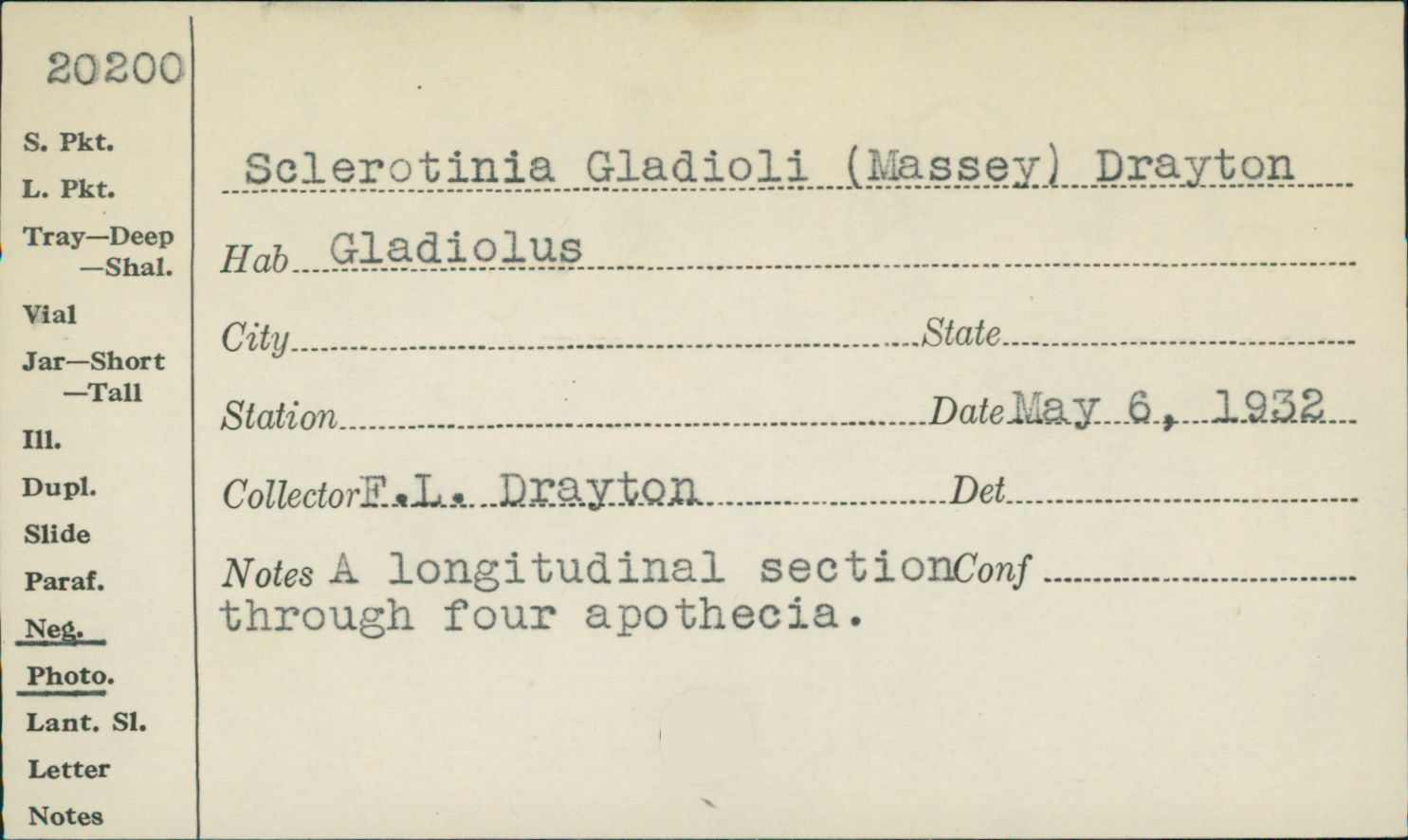Sclerotinia gladioli image