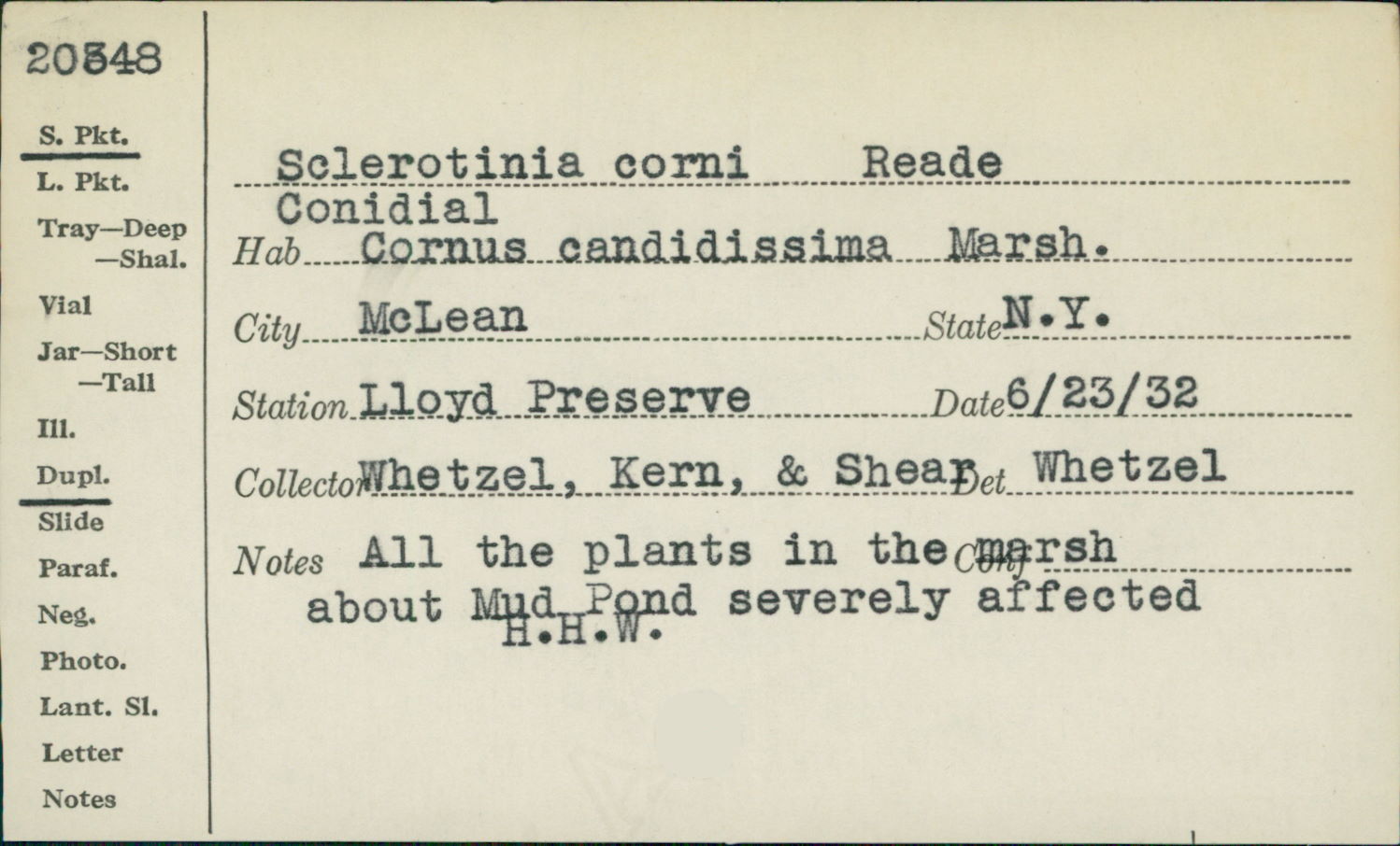 Sclerotinia corni image