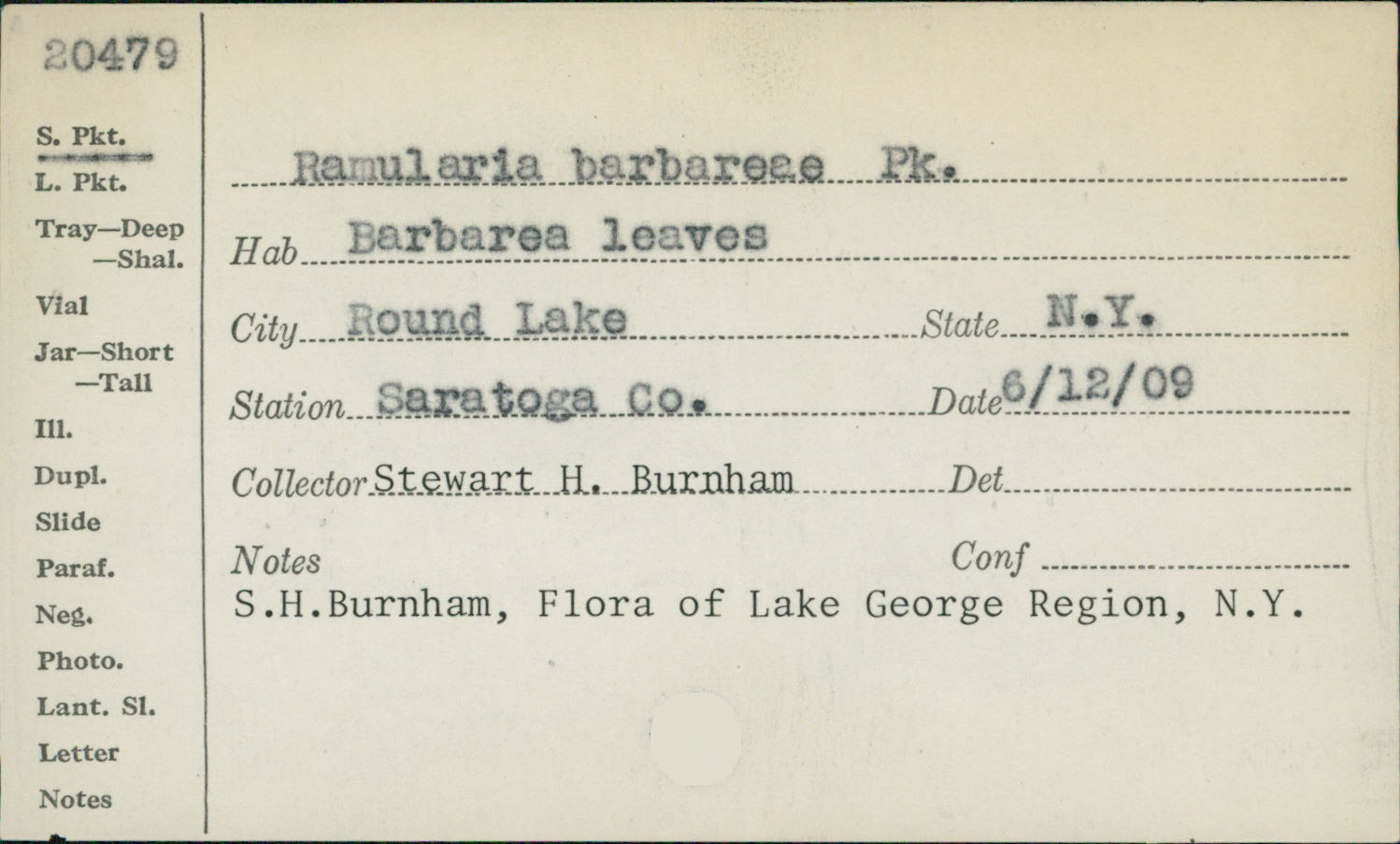 Ramularia barbareae image