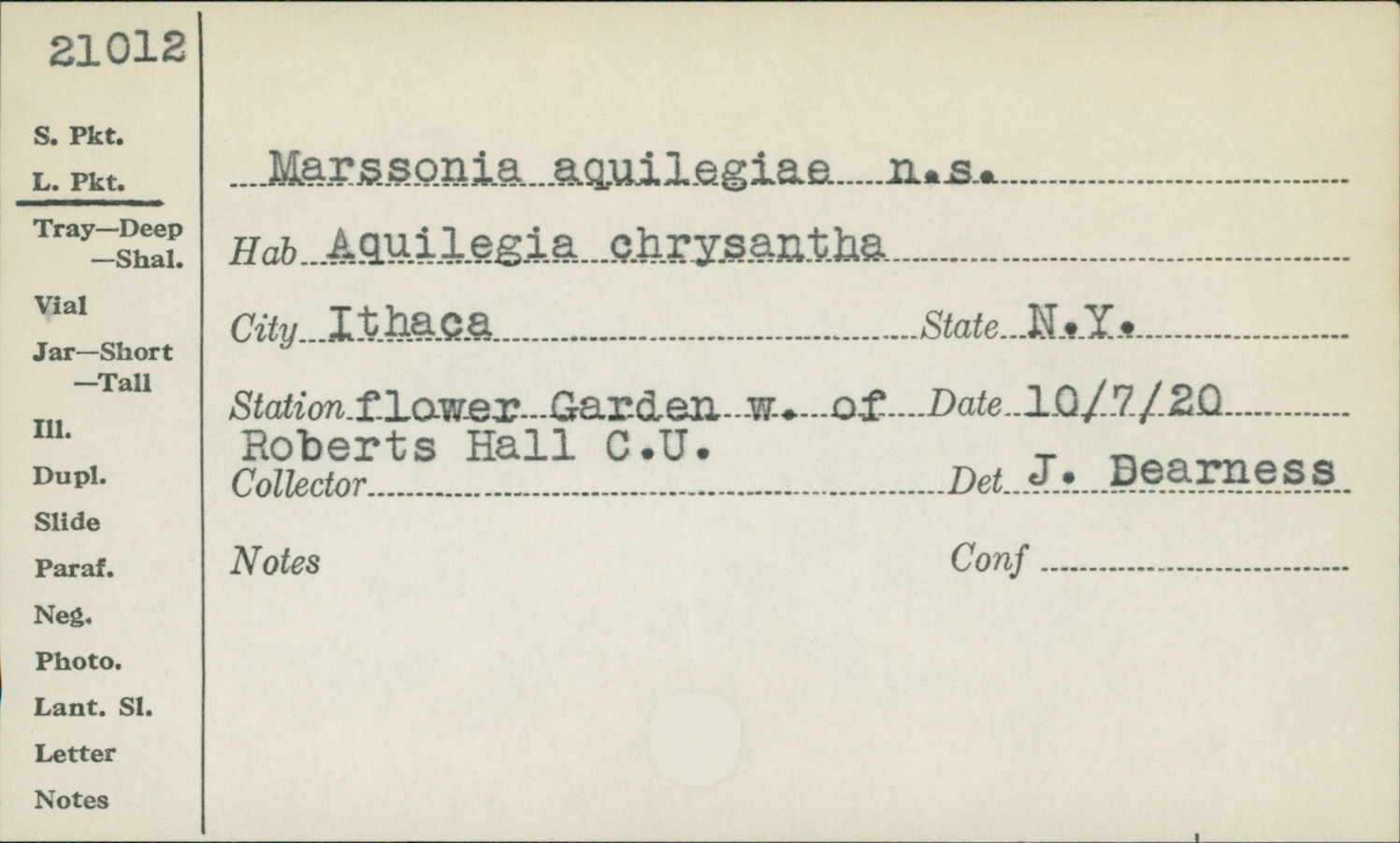 Marssonia aquilegiae image