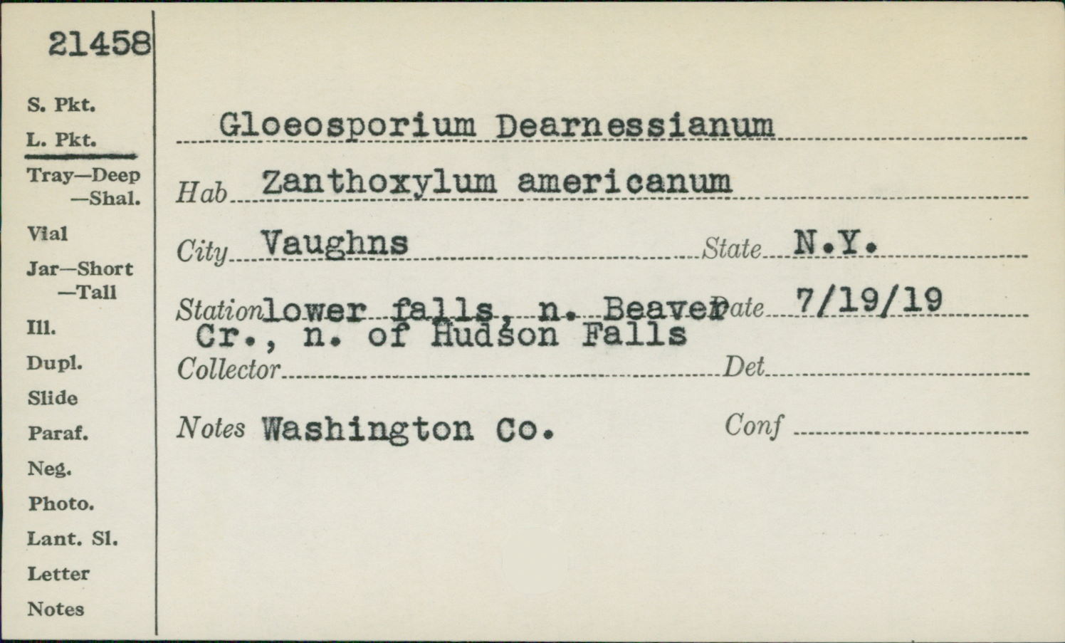 Gloeosporium dearnessianum image