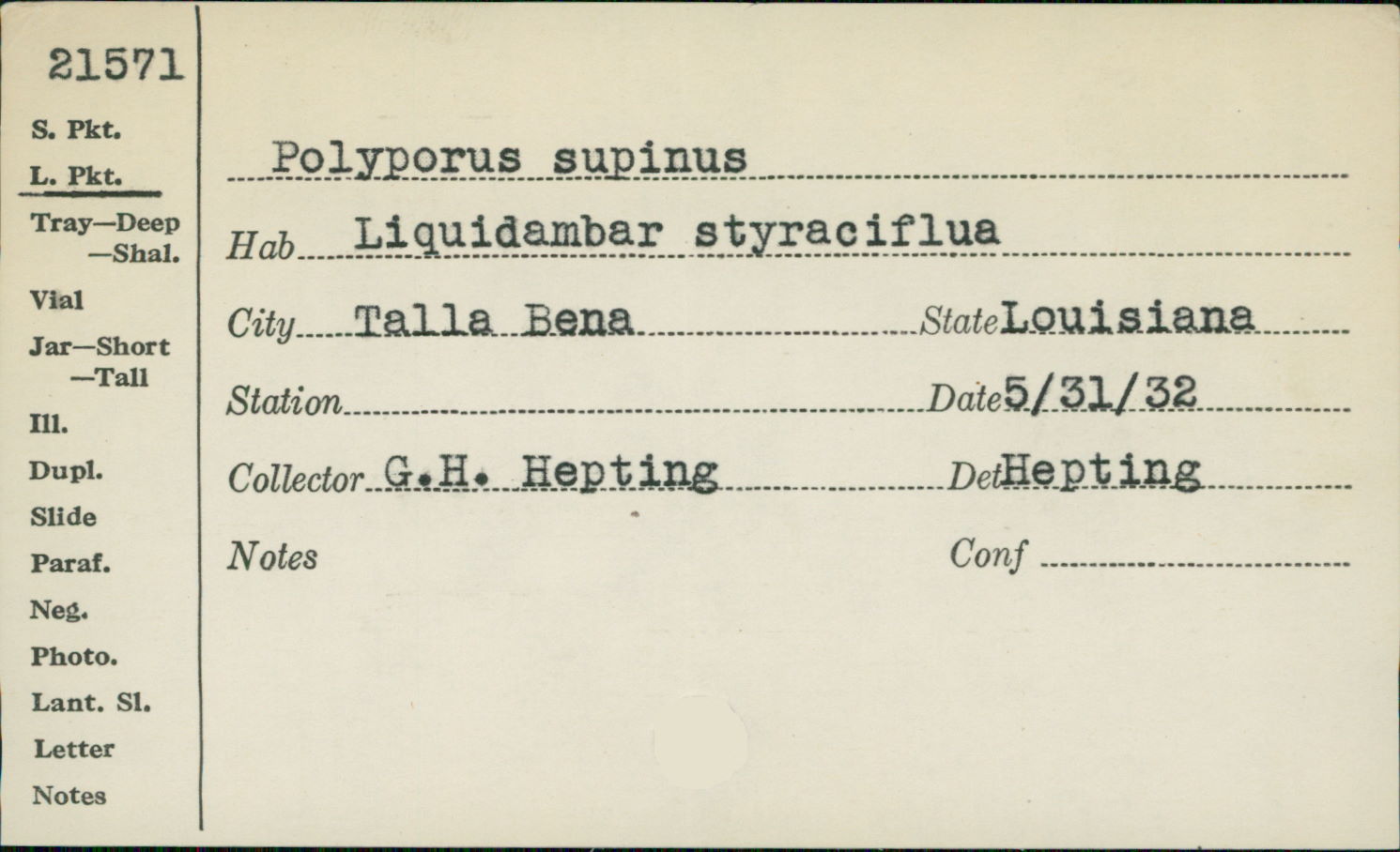 Fomitella supina image