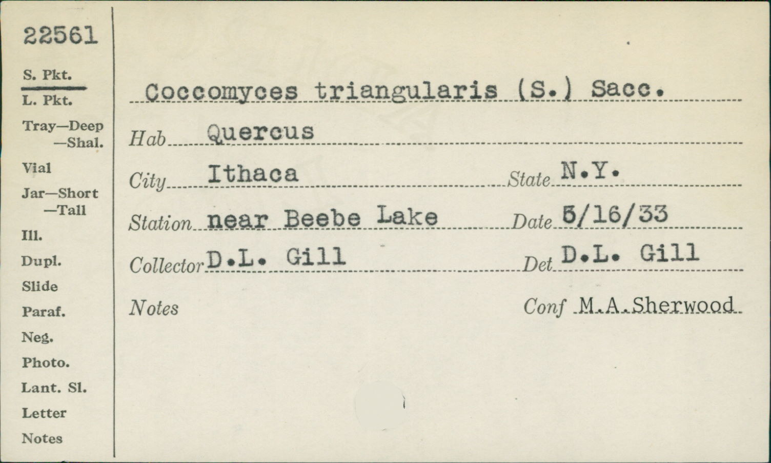 Coccomyces triangularis image