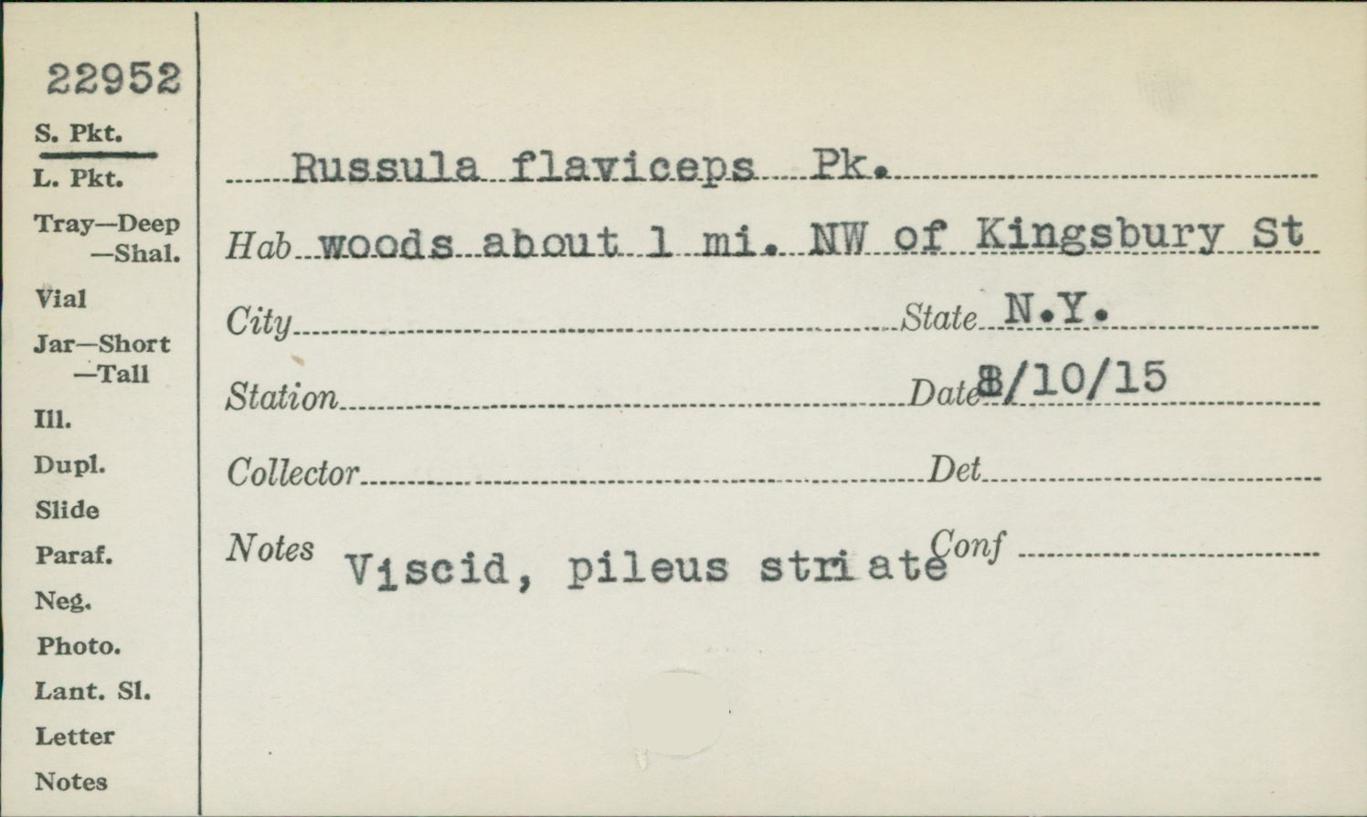 Russula flaviceps image