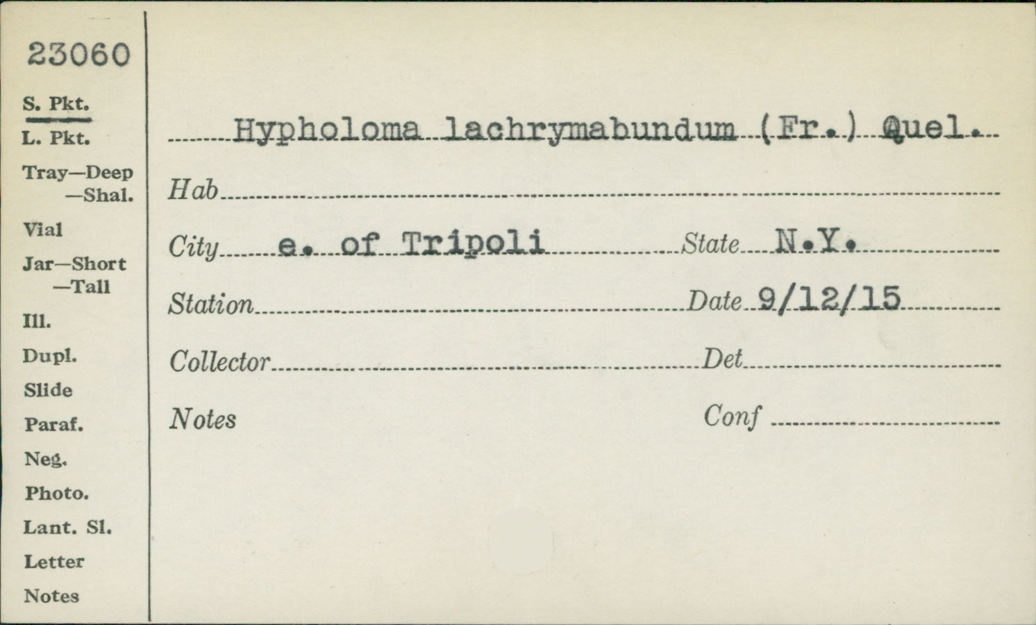Hypholoma lacrimabundum image