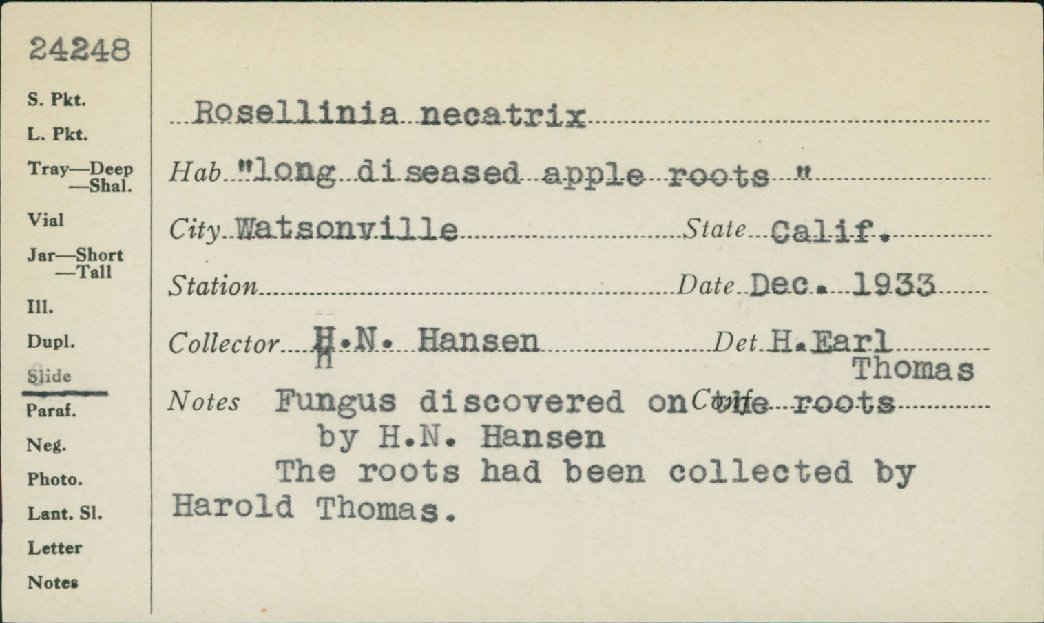 Rosellinia necatrix image
