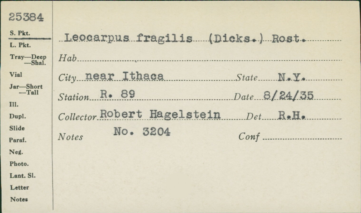 Reticularia fragilis image