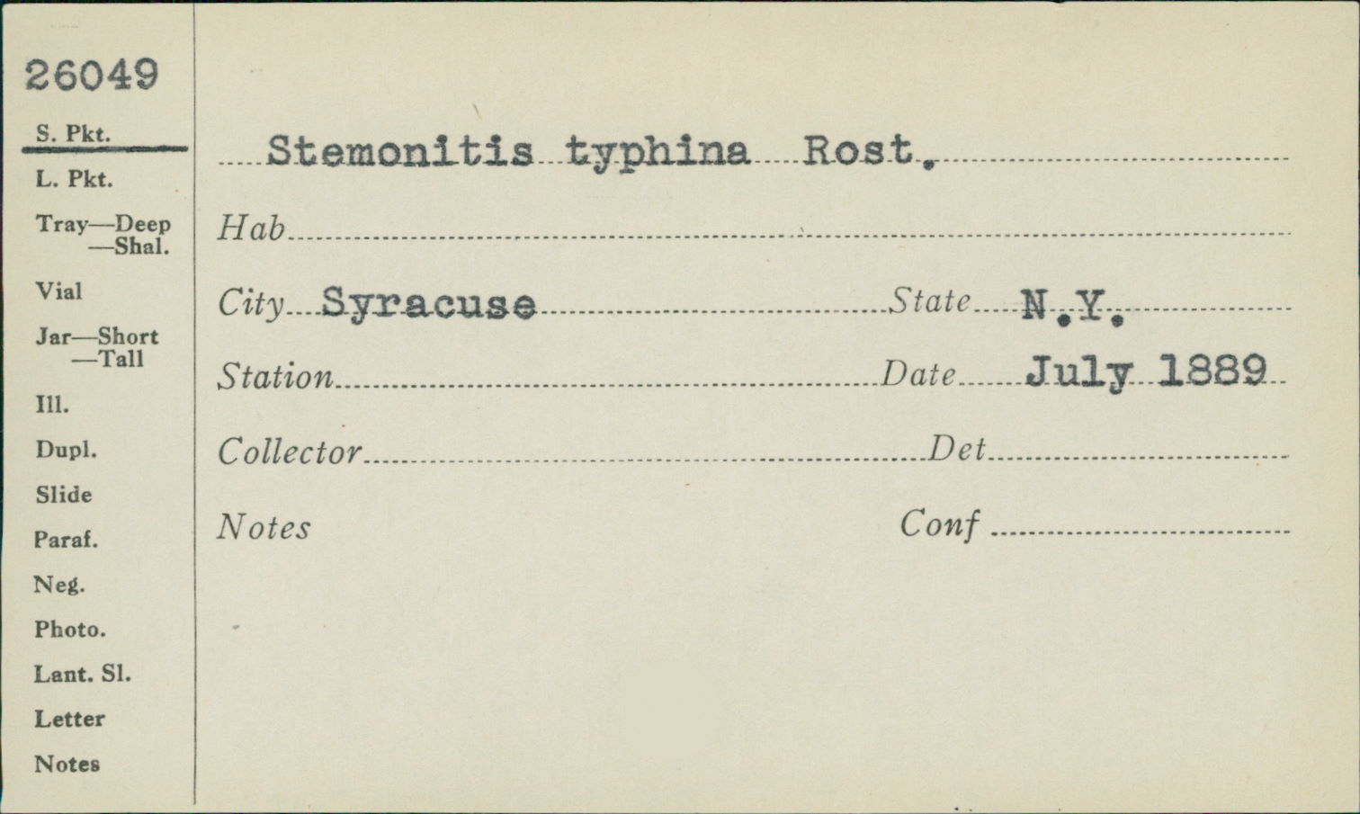 Stemonitis typhina image