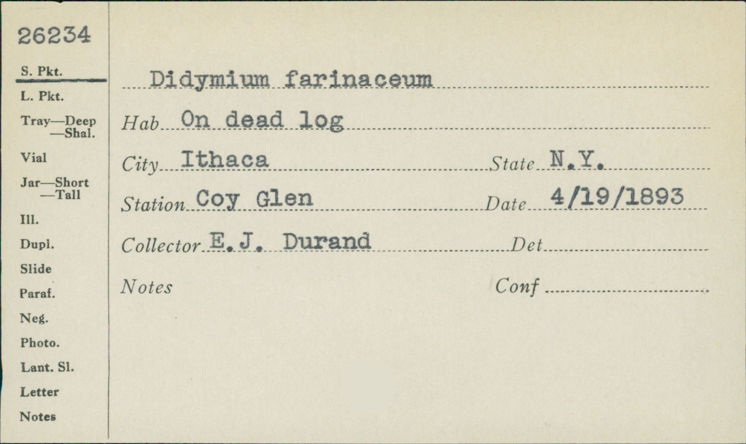 Didymium image
