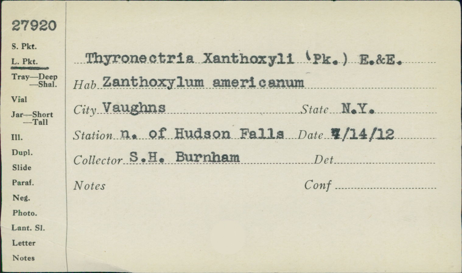 Thyronectria xanthoxyli image