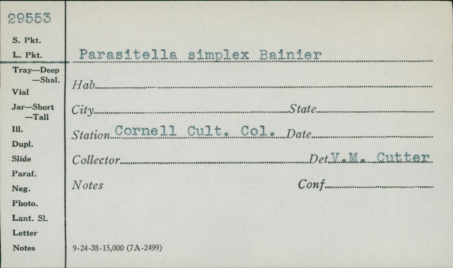 Parasitella simplex image