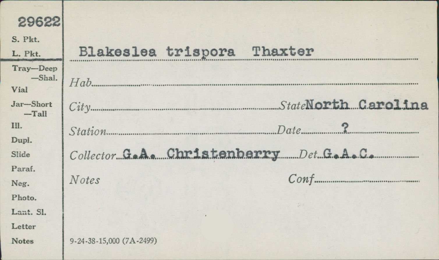 Blakeslea trispora image