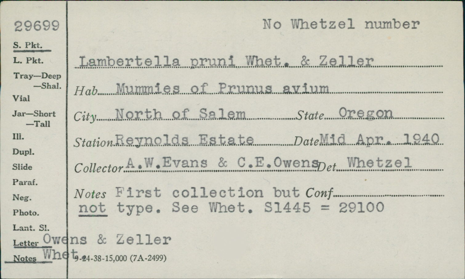 Lambertella pruni image
