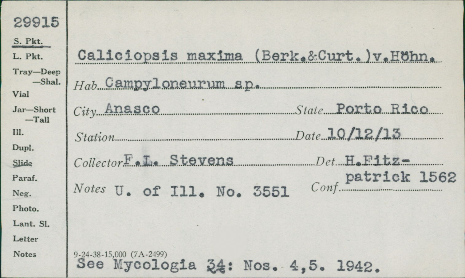 Caliciopsis maxima image