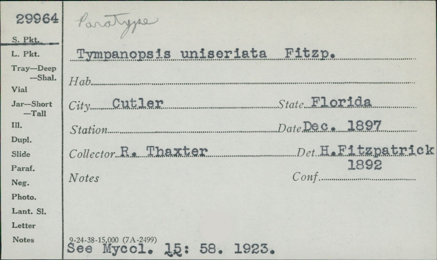 Tympanopsis image