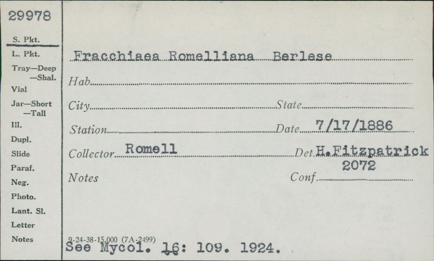 Fracchiaea romelliana image