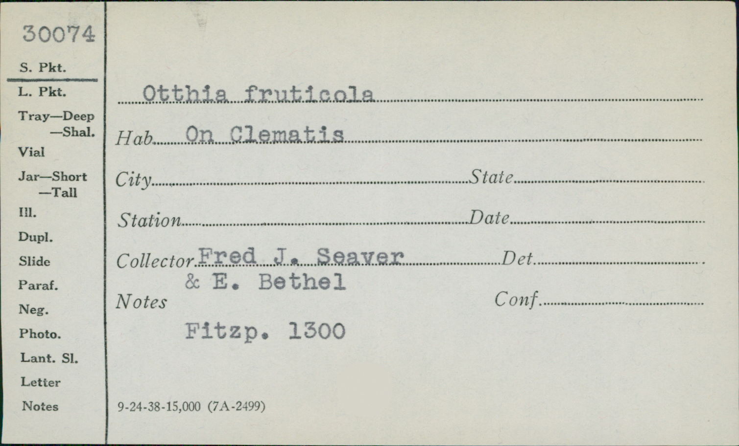 Otthia fruticola image