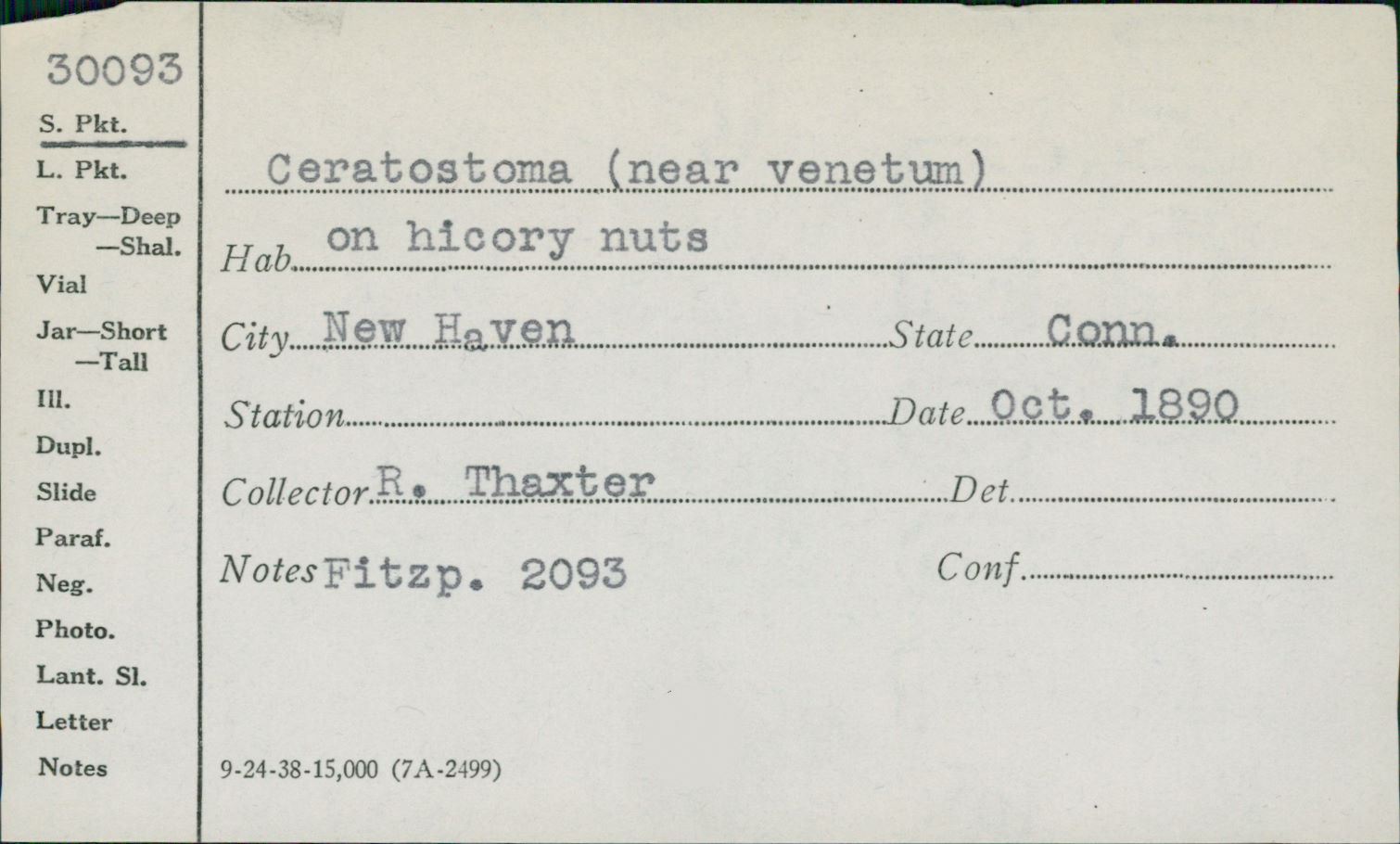 Ceratostoma venetum image