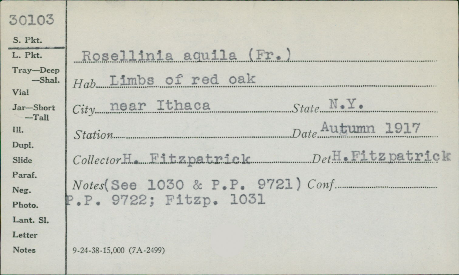 Rosellinia aquila image