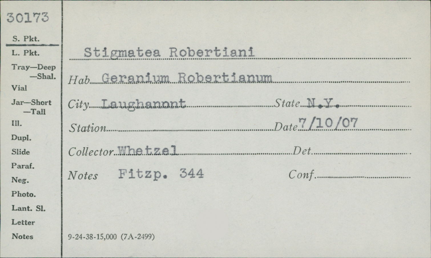 Coleroa robertiani image