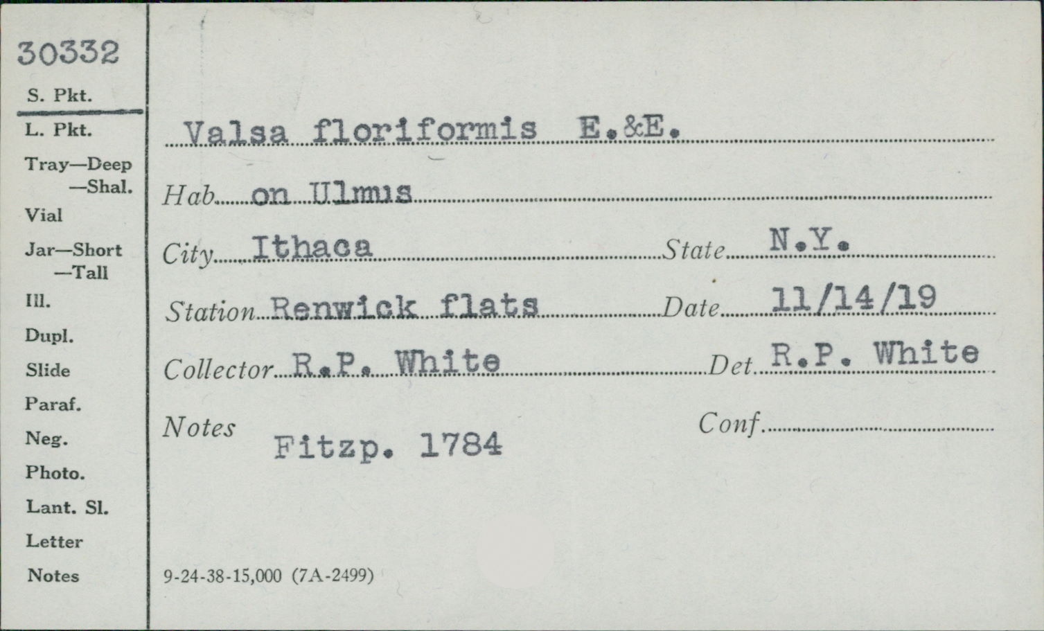 Valsa floriformis image