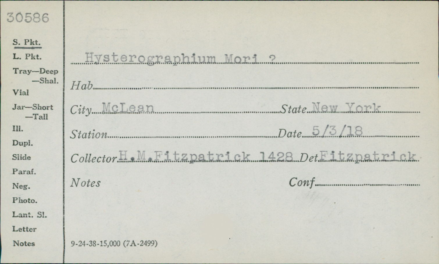 Hysterographium mori image