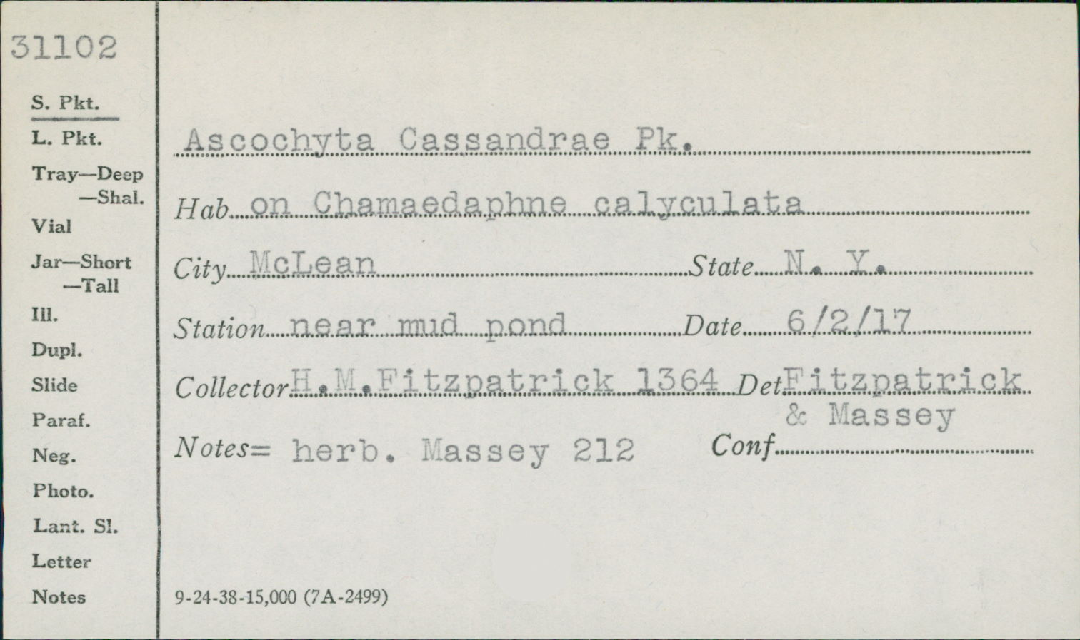 Ascochyta cassandrae image