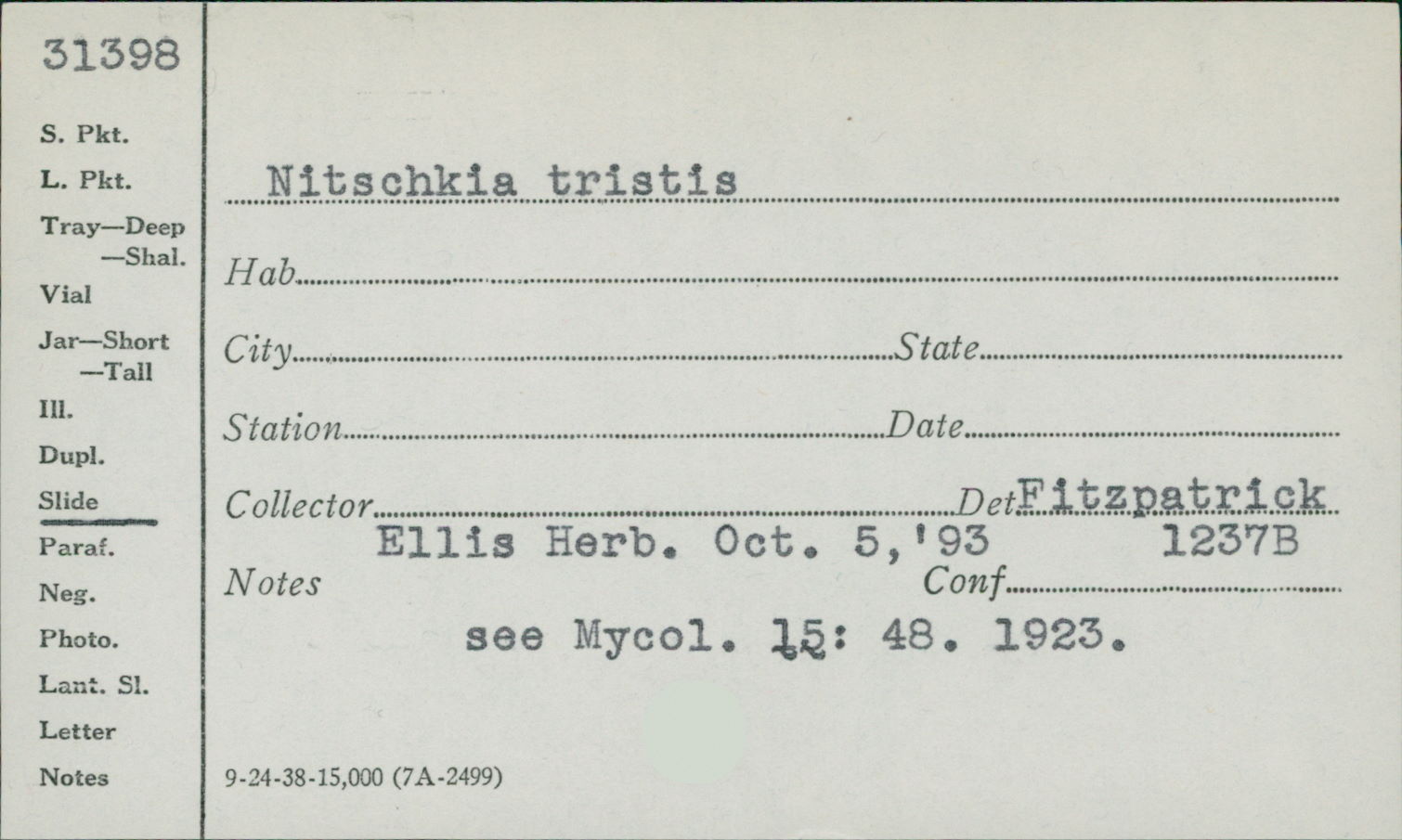 Acanthonitschkea tristis image