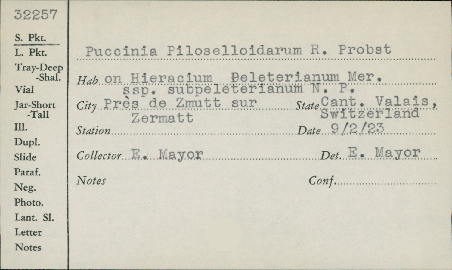 Puccinia piloselloidearum image