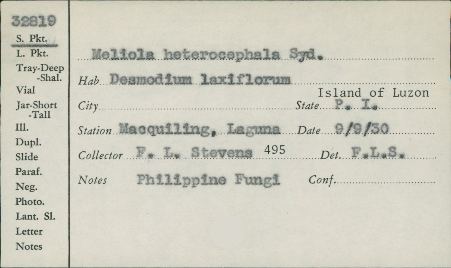 Meliola heterocephala image