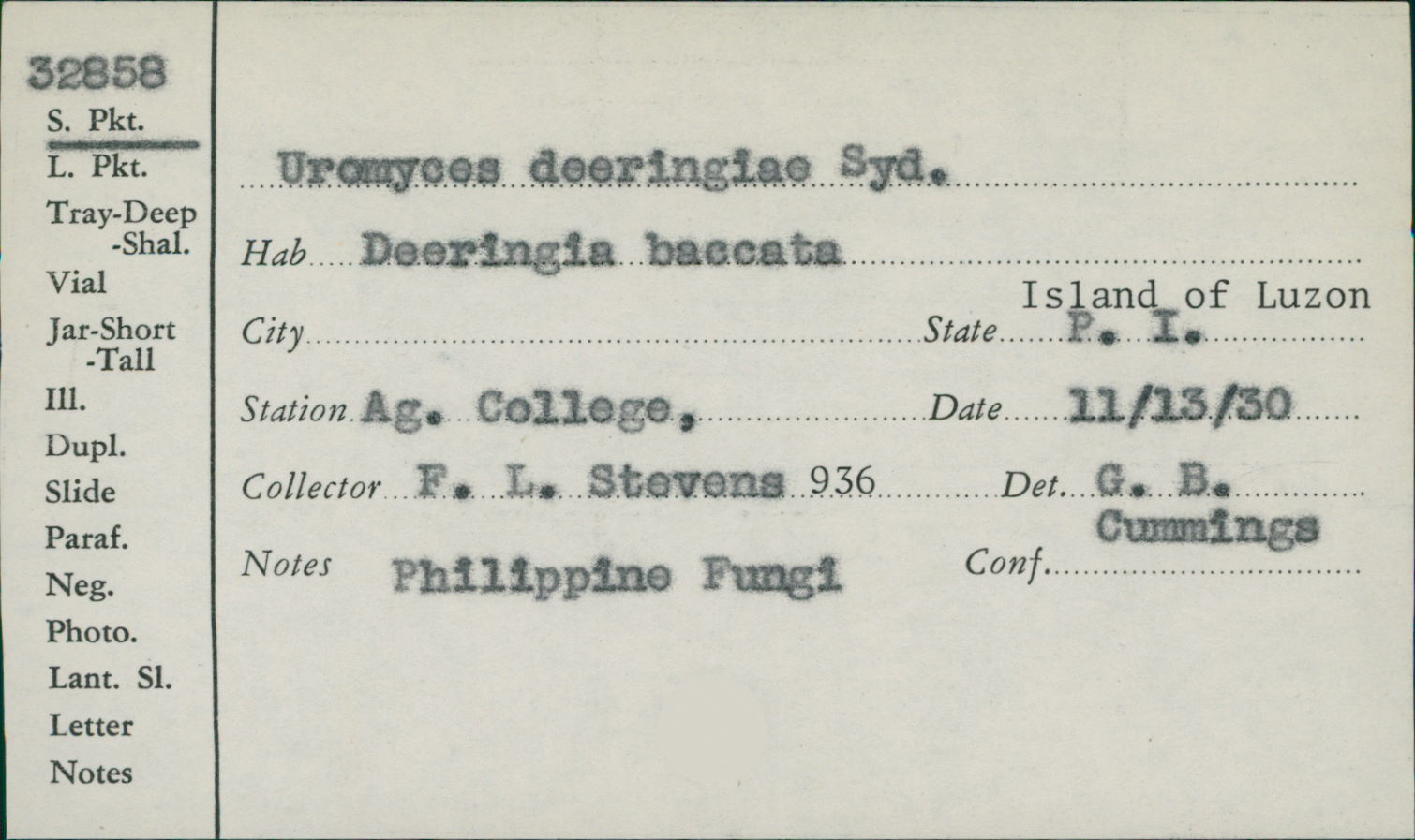 Uromyces deeringiae image
