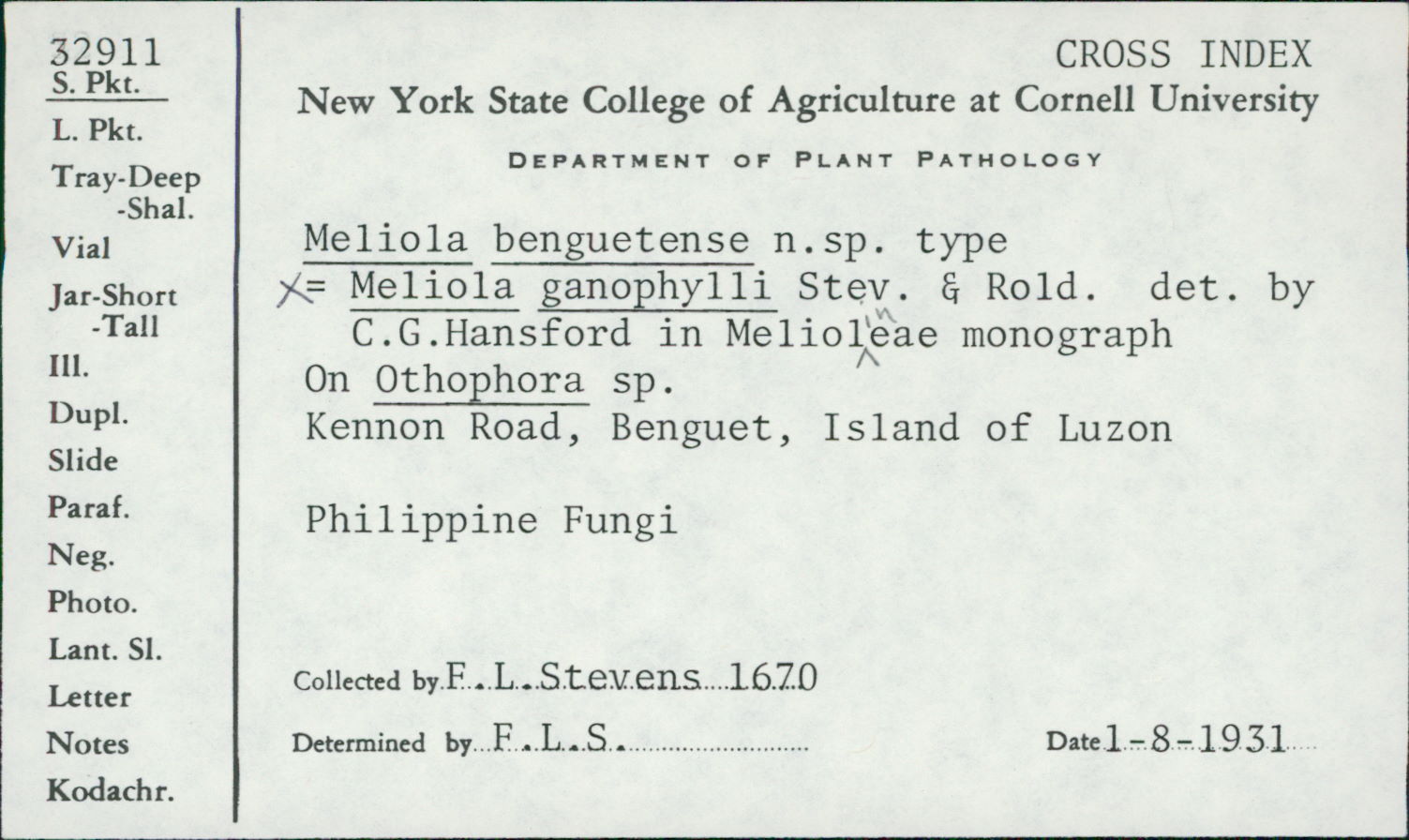 Meliola benguetensis image