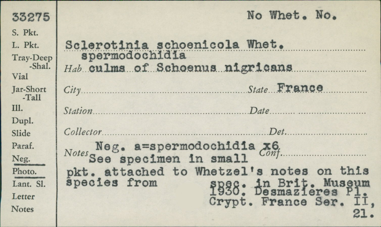 Sclerotinia schoenicola image