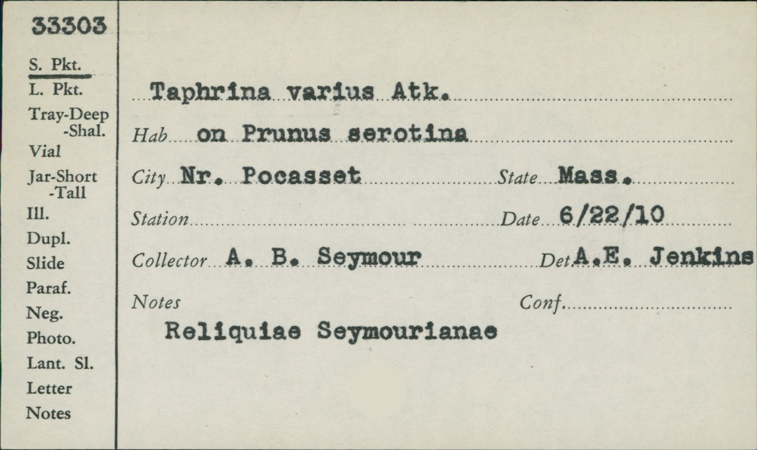 Taphrina varius image