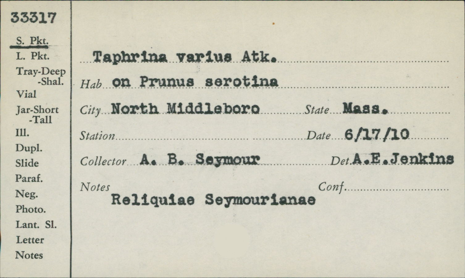 Taphrina varius image