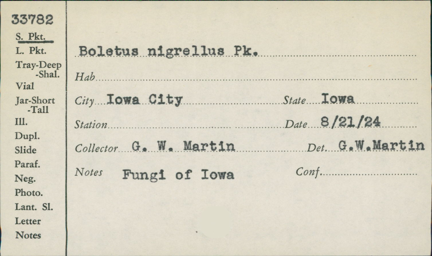 Boletus nigrellus image