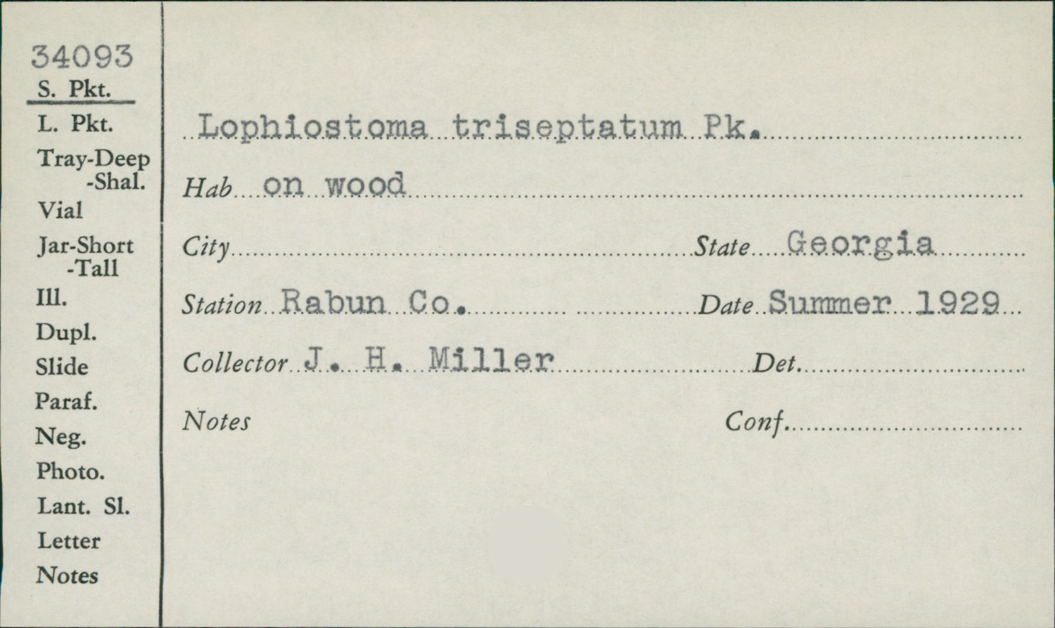 Lophiostoma triseptatum image